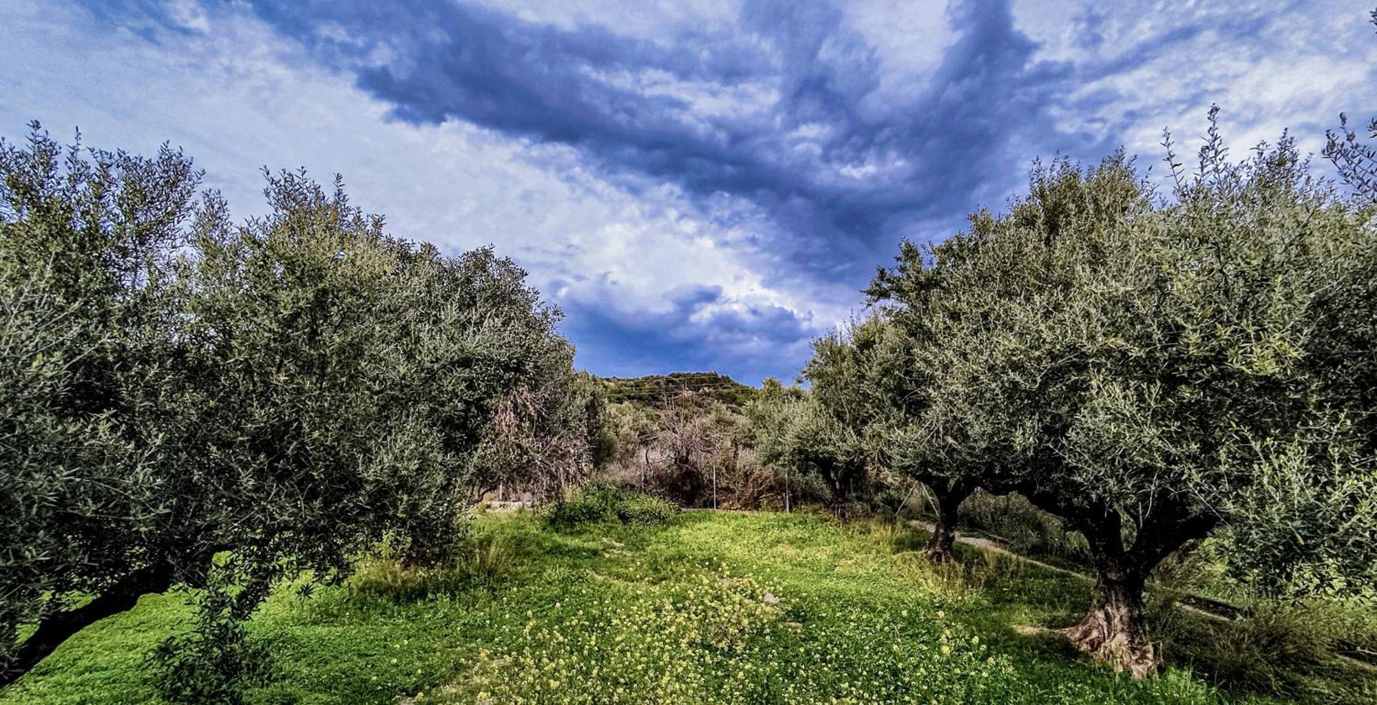 Your Spot West Peloponnese Shared Countryhouse Zacharo Eksteriør billede