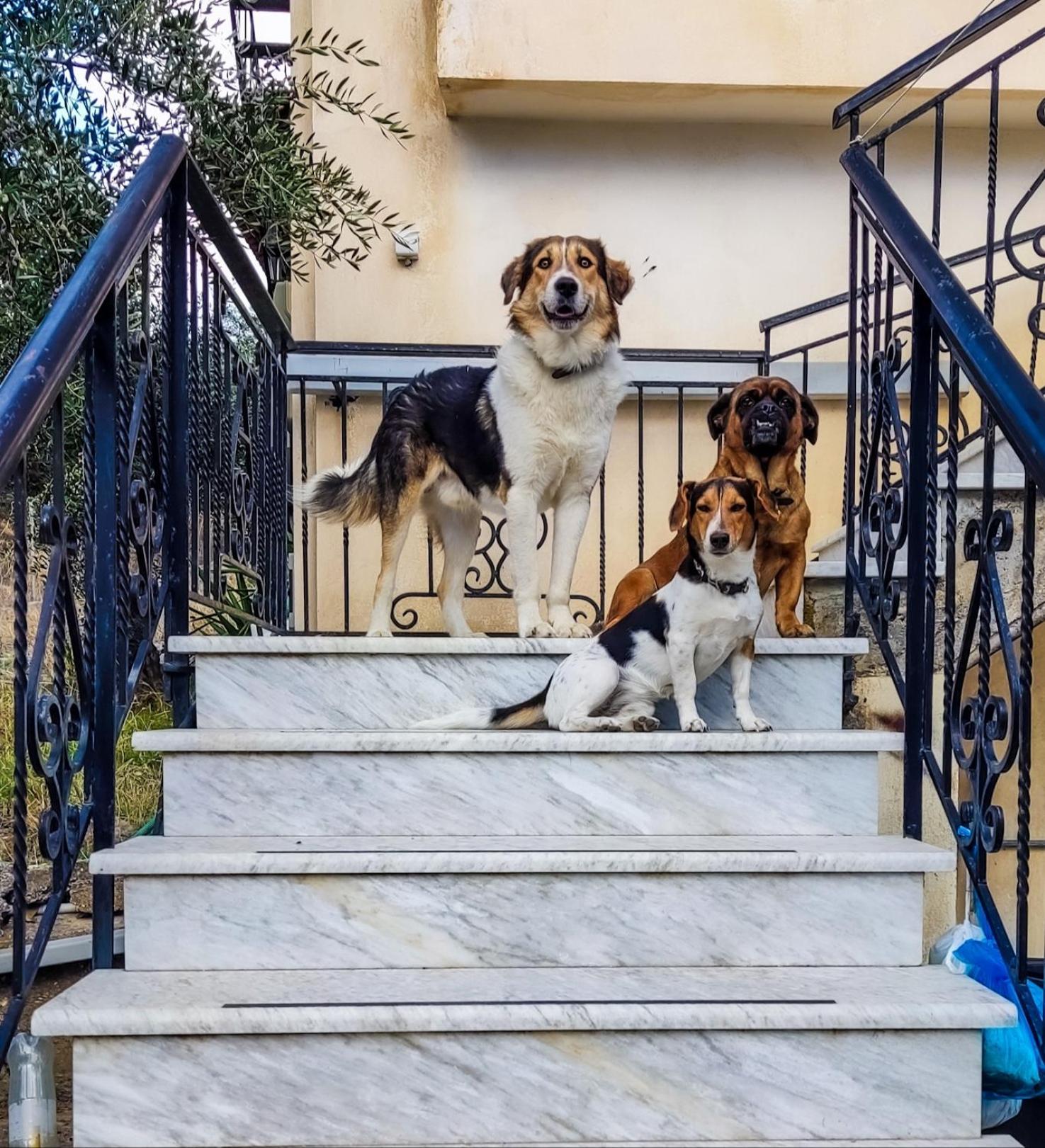 Your Spot West Peloponnese Shared Countryhouse Zacharo Eksteriør billede